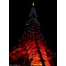 東京タワーも新ライトアップに変わった